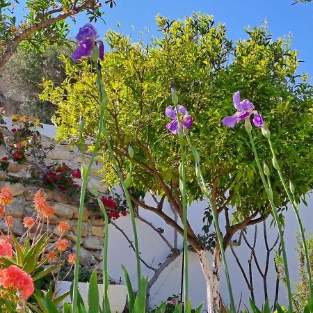 Arhondia House Villa Ierapetra  Luaran gambar