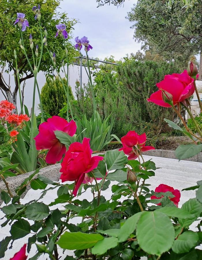 Arhondia House Villa Ierapetra  Luaran gambar